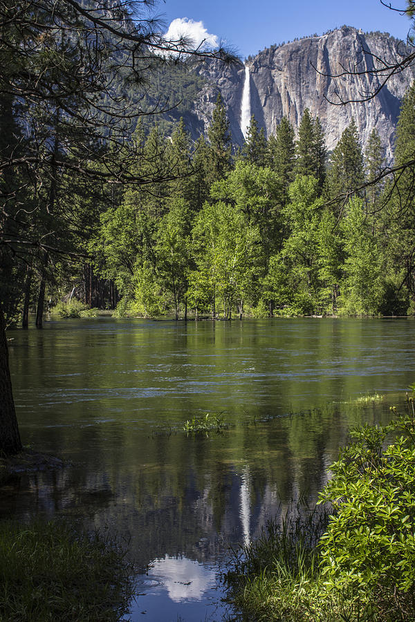Reflection at Yosemite  Photograph by John McGraw