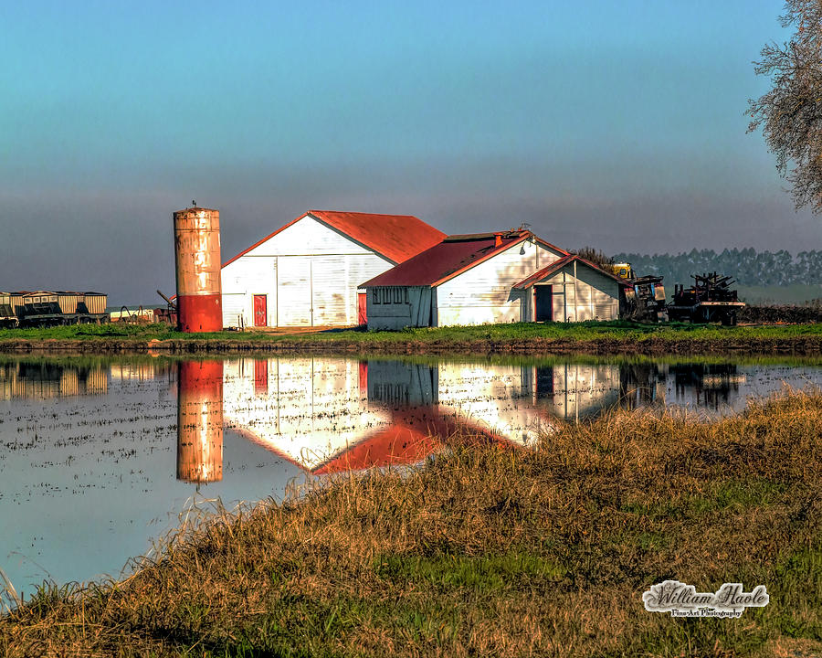 Reflection Barn by William Havle Reflection Barn by William Havle