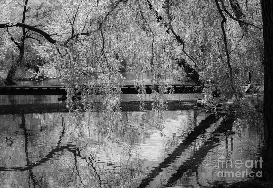 Black And White Photograph - Reflection BW by Olga Photography