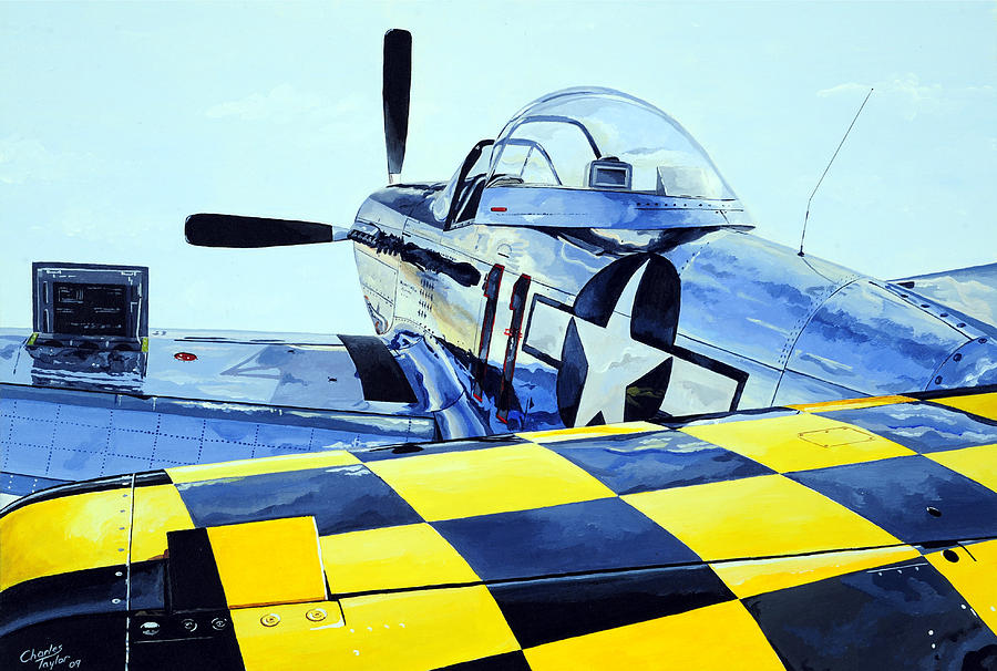 Airplane Painting - Reflection by Charles Taylor