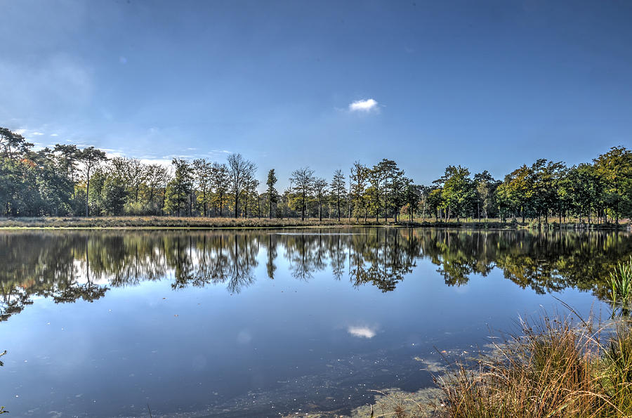 Reflection in a Forest Lake Photograph by Frans Blok