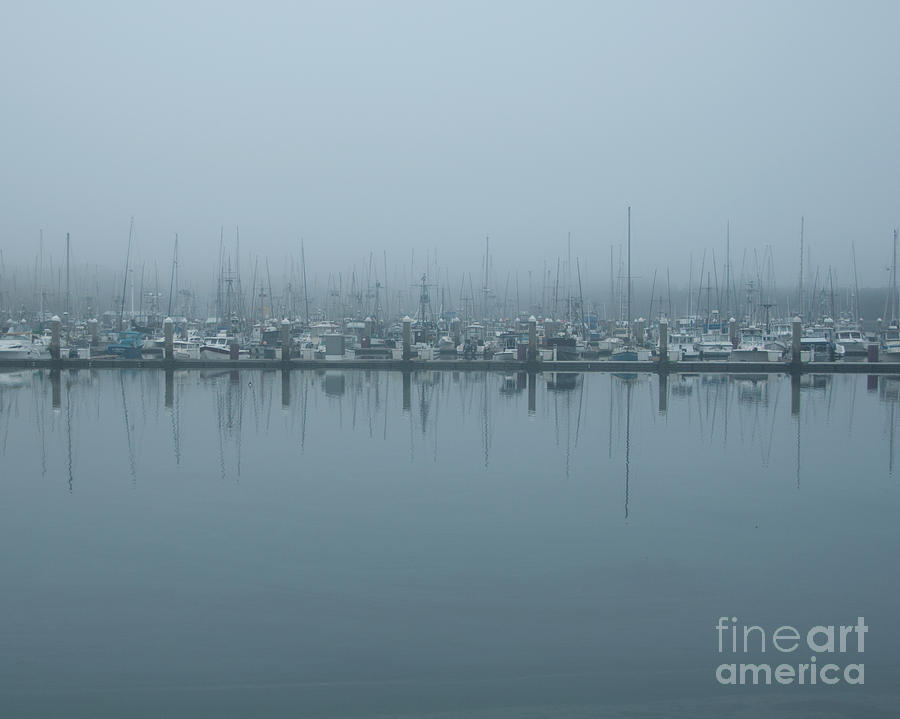 Reflection in fog Photograph by Steven Natanson