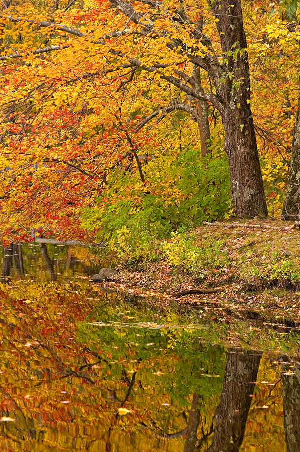 Reflection in October Photograph by Stephen Sisk | Fine Art America