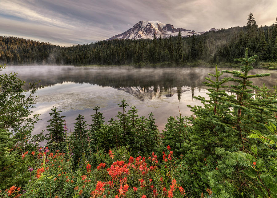Mount Rainier National Park Photograph - Reflection in Wildflowers by Mark Kiver