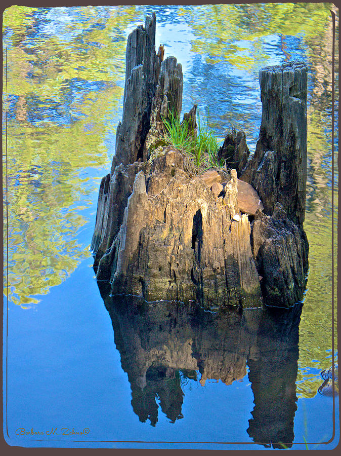Reflection in Woods Canyon Lake Photograph by Barbara Zahno