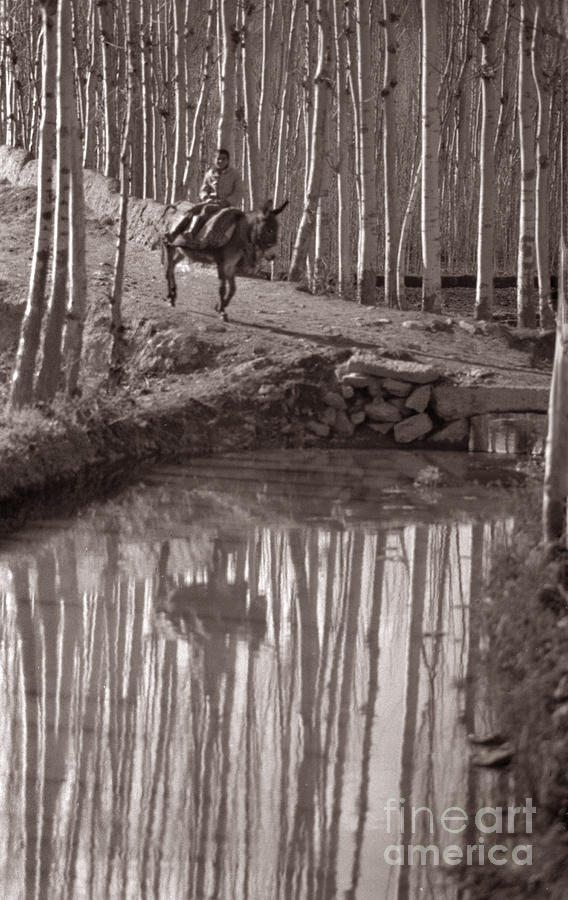 Reflection Iran 1977 Photograph By Michael Ziegler Fine Art America