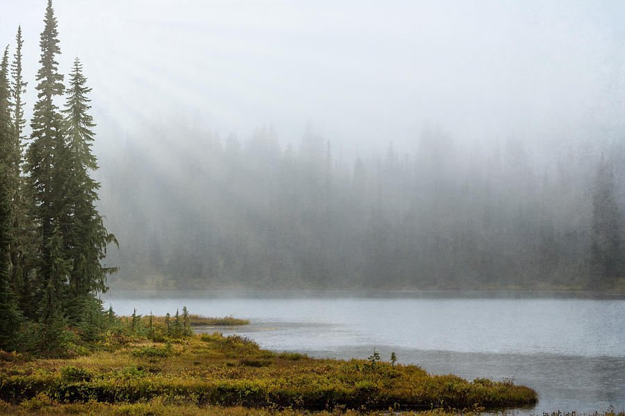 Reflection Lake Mist Photograph by Mary Jo Allen