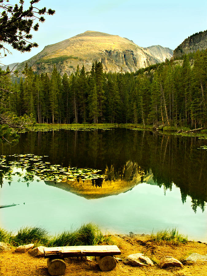 Mountain Photograph - Reflection by Marilyn Hunt
