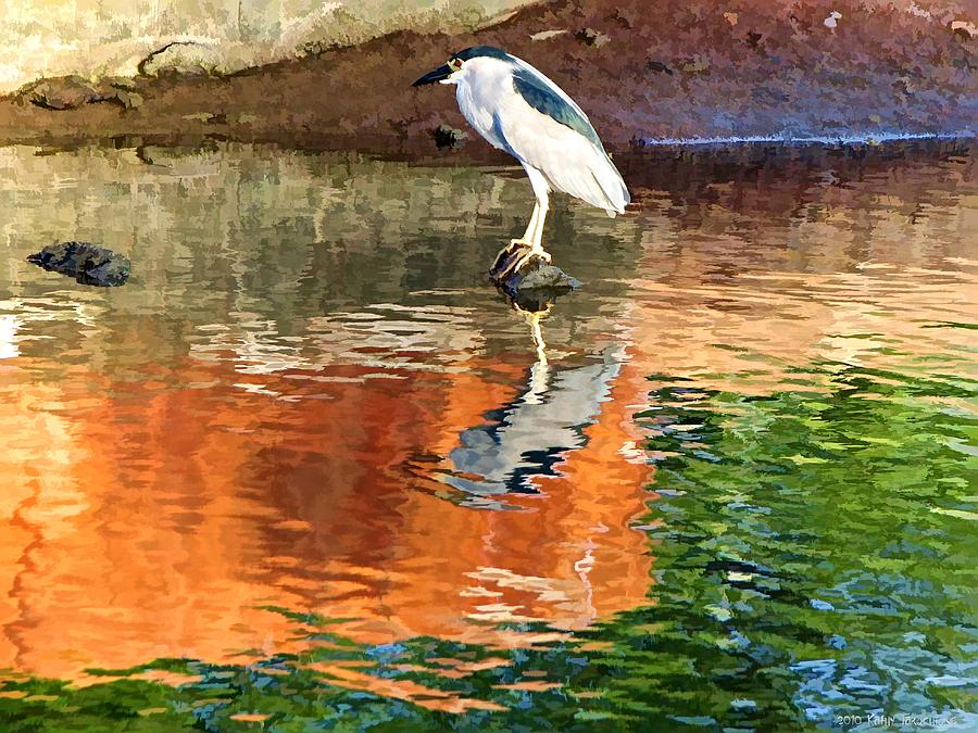 Nature Photograph - Reflection of a Bird by Kathy Tarochione