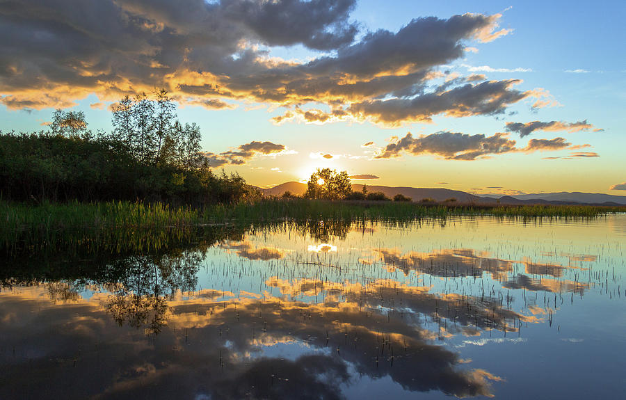 Reflection of a Sunset Sky Photograph by Amy Sorvillo