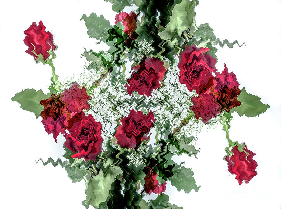 Reflection Of A Wavy Rose Digital Art