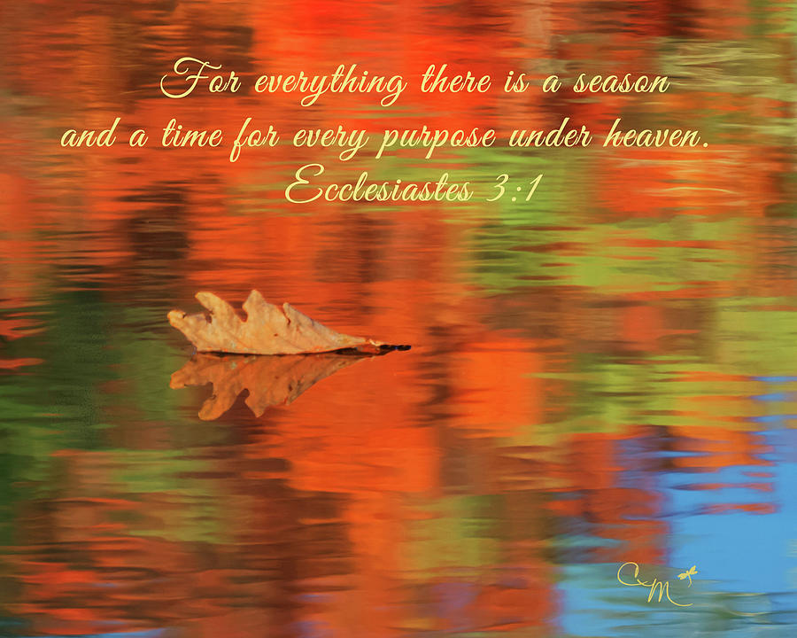 Reflection of Autumn - Ecclesiastes Photograph by Connie Mitchell ...