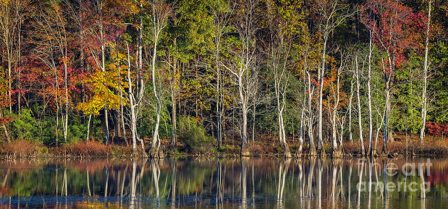 Reflection of Autumn Panorama Photograph by Karen Jorstad