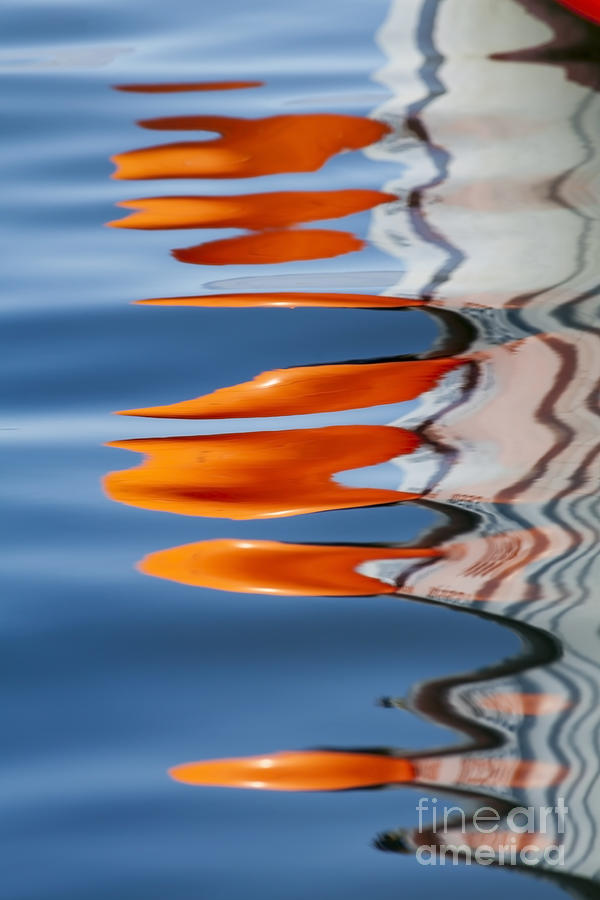 Reflection Photograph - Water Reflection of Orange Blobs and Black Zig Zagging Lines by Sharon Foelz