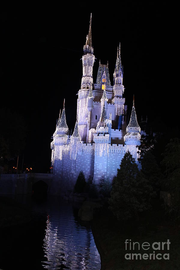 Flag Photograph - Reflection of Cinderella Castle by Pamela Leggett