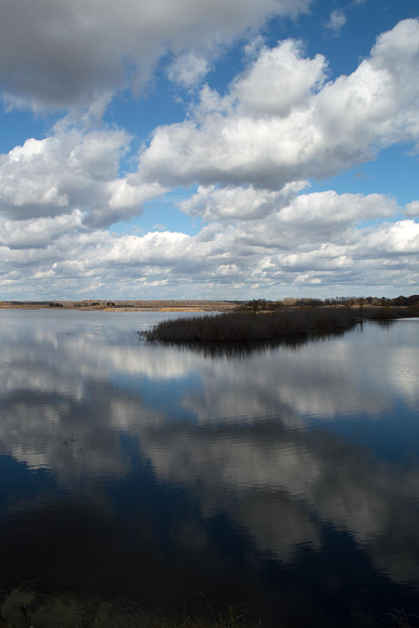 Reflection Of Clouds In A Pond Photograph