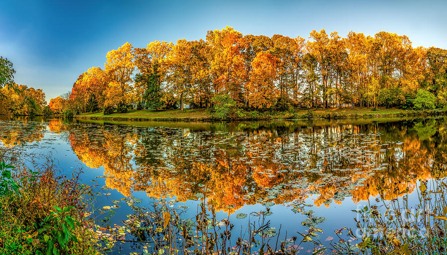 Reflection of Fall Photograph by Nick Zelinsky