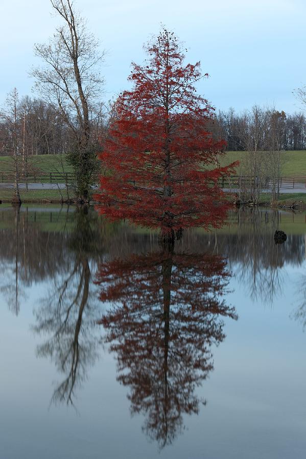 Reflection of Fall Photograph by Shoeless Wonder