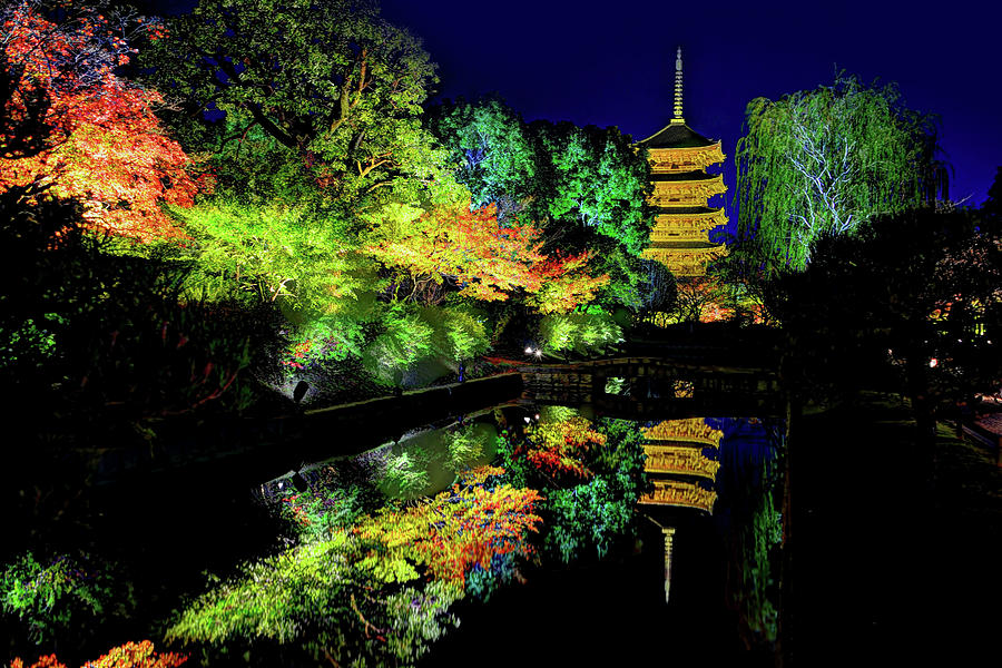 Fall Photograph - Reflection of night by Midori Chan