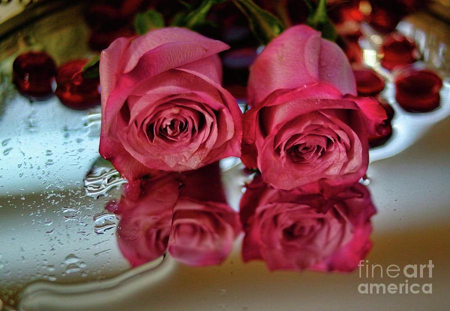Rose Photograph - Reflection of Two by Diana Mary Sharpton