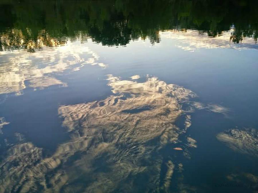 Reflection of Upside Down Lake and Shore Photograph by Kathy Barney