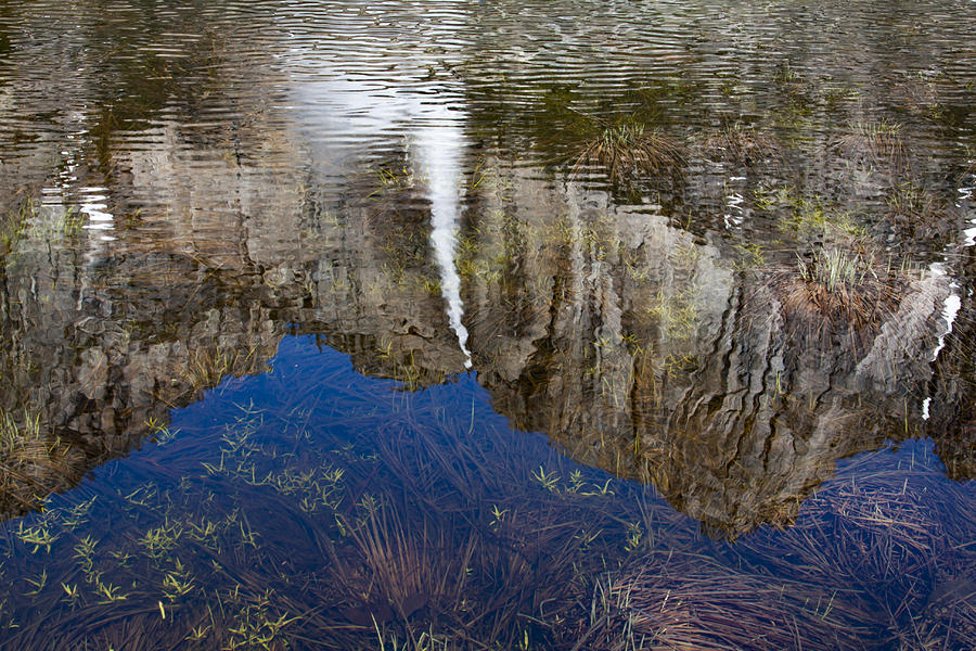 Reflection Of Yosemite Falls Photograph