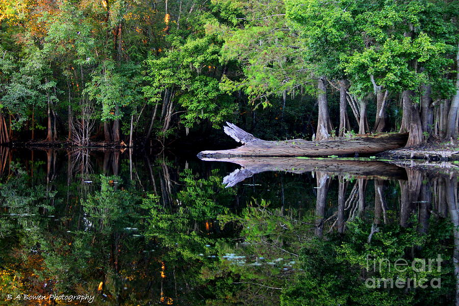 Reflection off the Withlacoochee River Photograph by Barbara Bowen