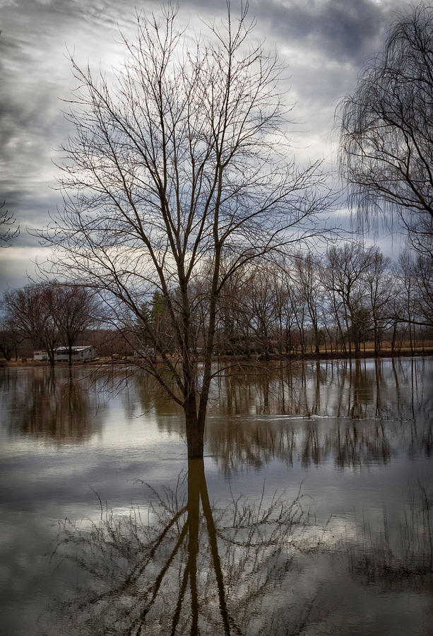 Reflection On Flooded River At Merom Photograph By Deb Henman Fine