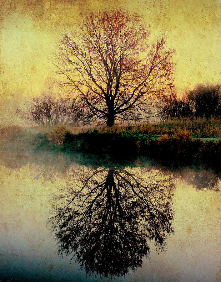 Reflection on Golden Pond Photograph by Karen Castillo