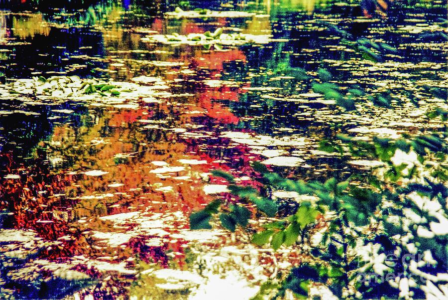 Paris Photograph - Reflection on Oscar - Claude Monets  Garden Pond  by D Davila