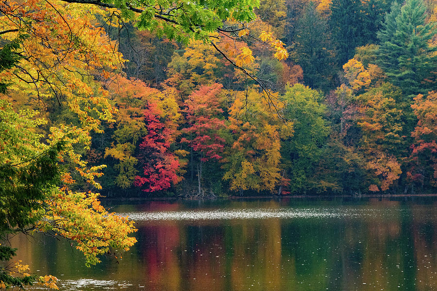 Reflection on Pogue pond Vermont Photograph by Jeff Folger