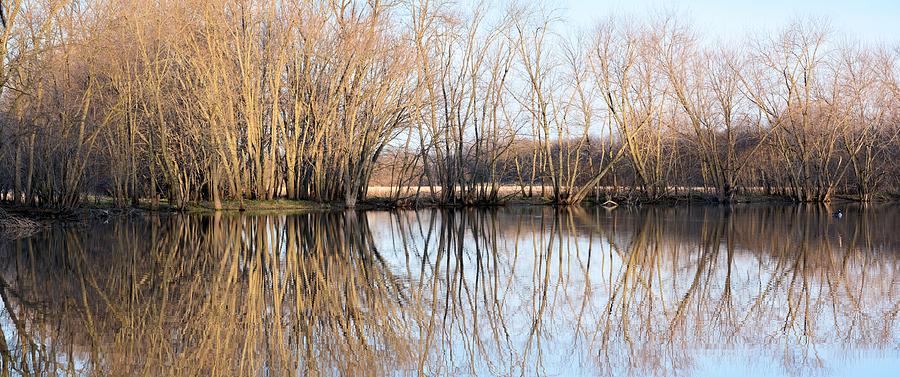 Reflection Pond Photograph by Bonfire Photography