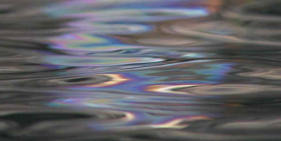 Reflection Refraction Photograph by Cathie Douglas