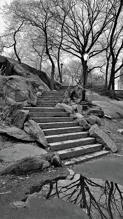 Reflection Steps Central Park N Y C Photograph by Rob Hans