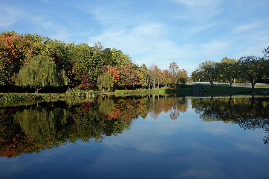 Best Photograph - Reflection Symmetry by Isabela and Skender Cocoli Best Photograph - Reflection Symmetry by Isabela and Skender Cocoli