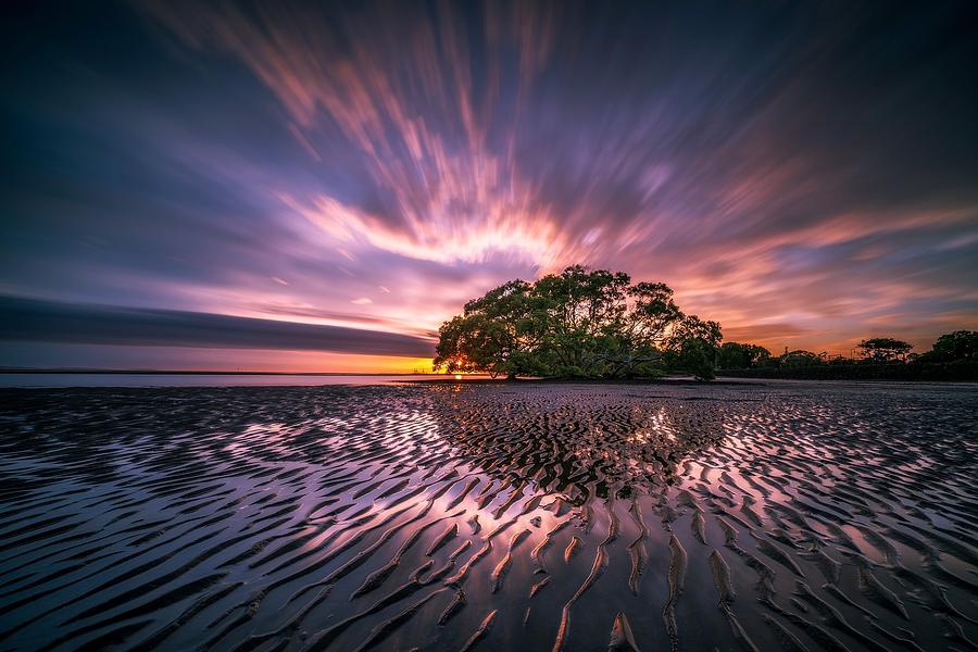 Reflection Tree Photograph by Kelley Brunola - Fine Art America