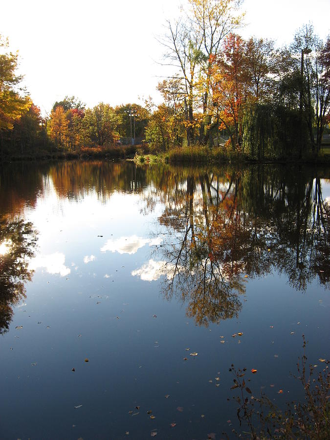 Reflection Photograph by Victoria Ashley | Fine Art America