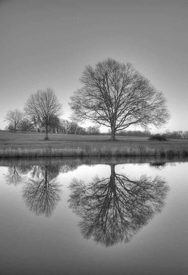 Landscape Photograph - Reflection x 3 by David Waldrop