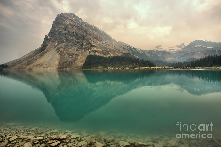 Reflections Along The Bow Lake Shoreline Photograph by Adam Jewell