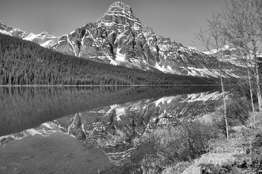 Reflections Along The Show Of Waterfowl Lakes Black And White Photograph by Adam Jewell