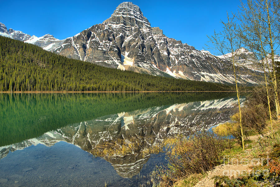 Reflections Along The Shores Of Waterfowl Lakes Photograph by Adam Jewell