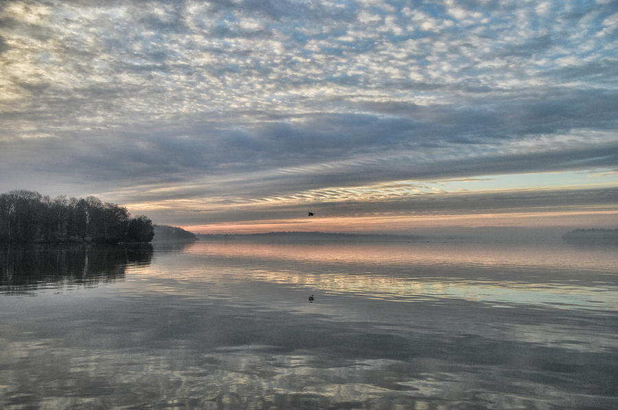 Reflections Photograph by Angela Everett | Fine Art America