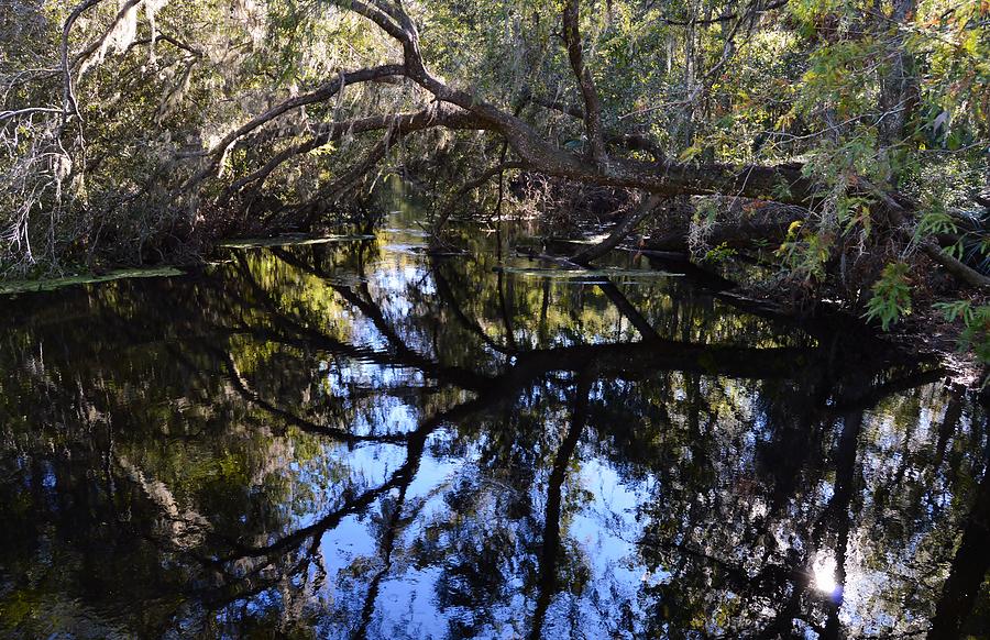 Reflections at Camps Canal Photograph by Warren Thompson