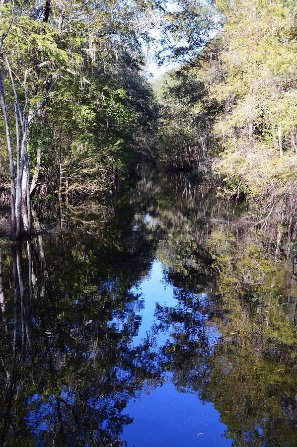 Reflections At Camps Creek  Photograph by Warren Thompson