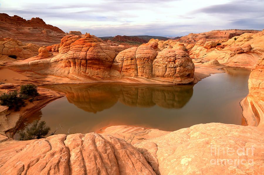 Reflections At Coyote Buttes Photograph by Adam Jewell