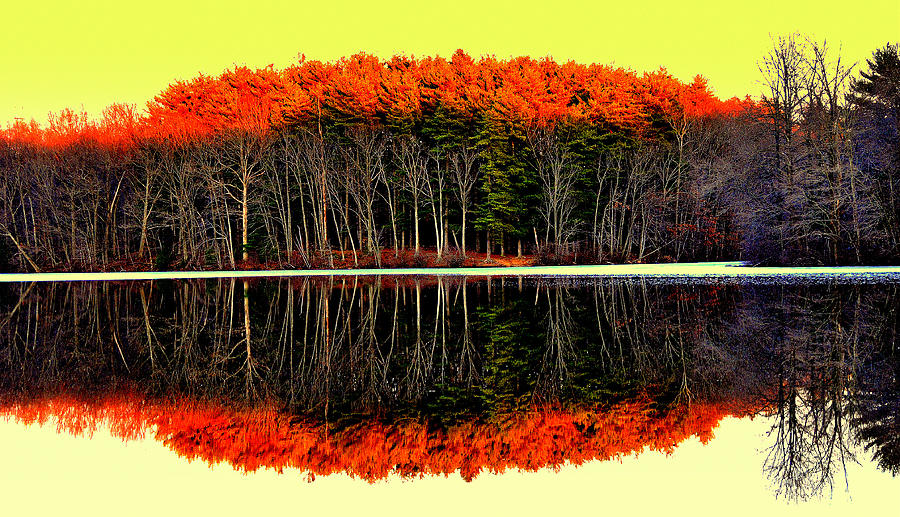 Reflections at Farrington lake Digital Art by Aron Chervin