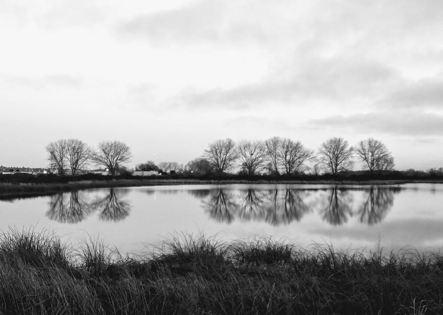 Reflections at Iona Beach Photograph by Darrell MacIver - Fine Art America