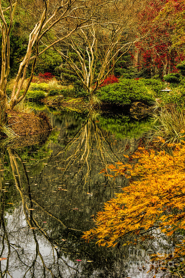 Reflections at Japanese Gardens Photograph by Barbara Bowen
