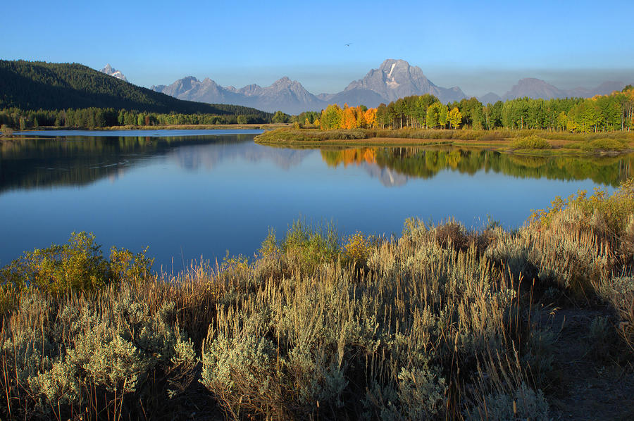 Reflections At Oxbow Bend Photograph by Stephen Vecchiotti