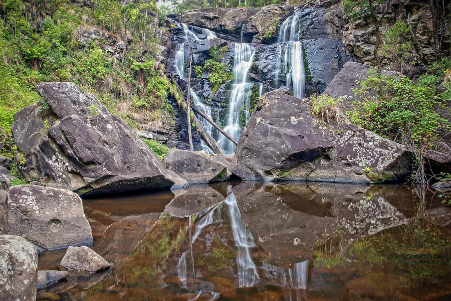 Reflections at Stevensons Falls  Photograph by Catherine Reading